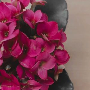 Meet your Posher, Claudia